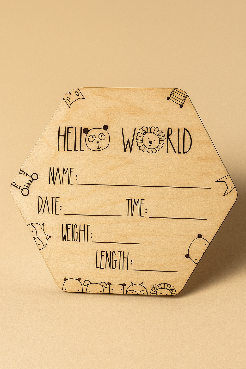 Hello World Baby Announcement Sign