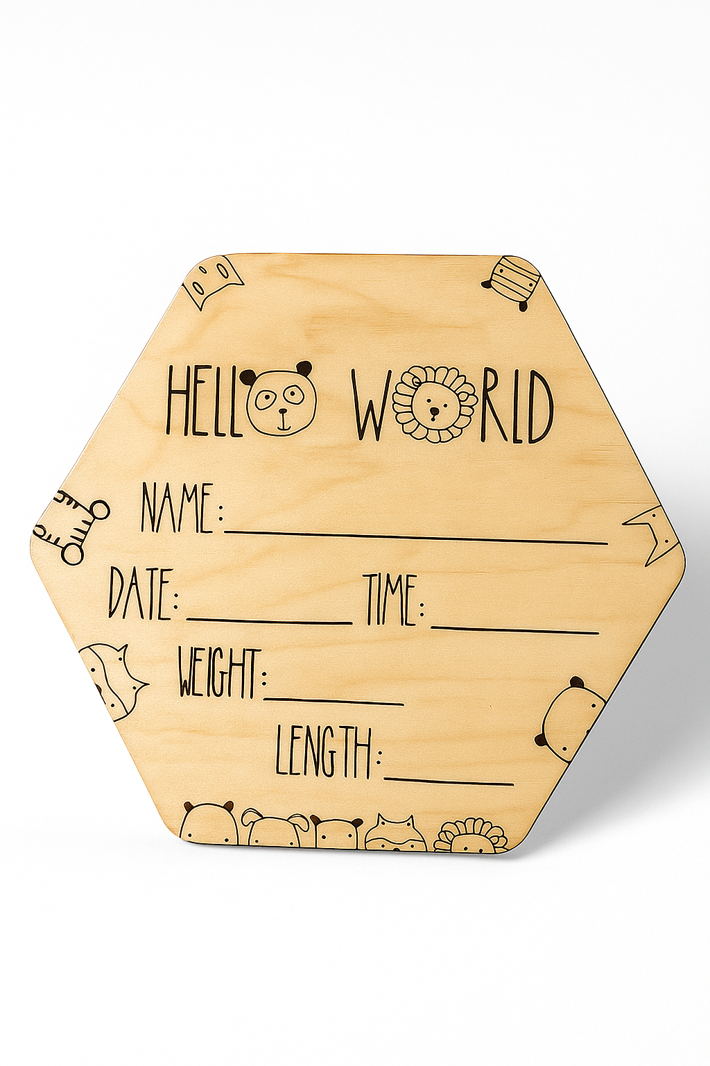 Hello World Baby Announcement Sign